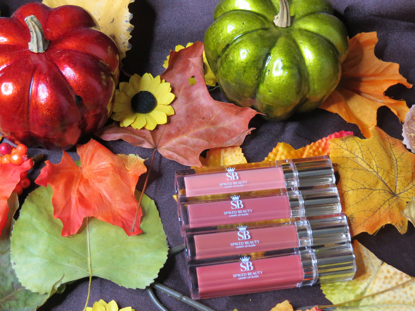 Lipgloss Lip Kits