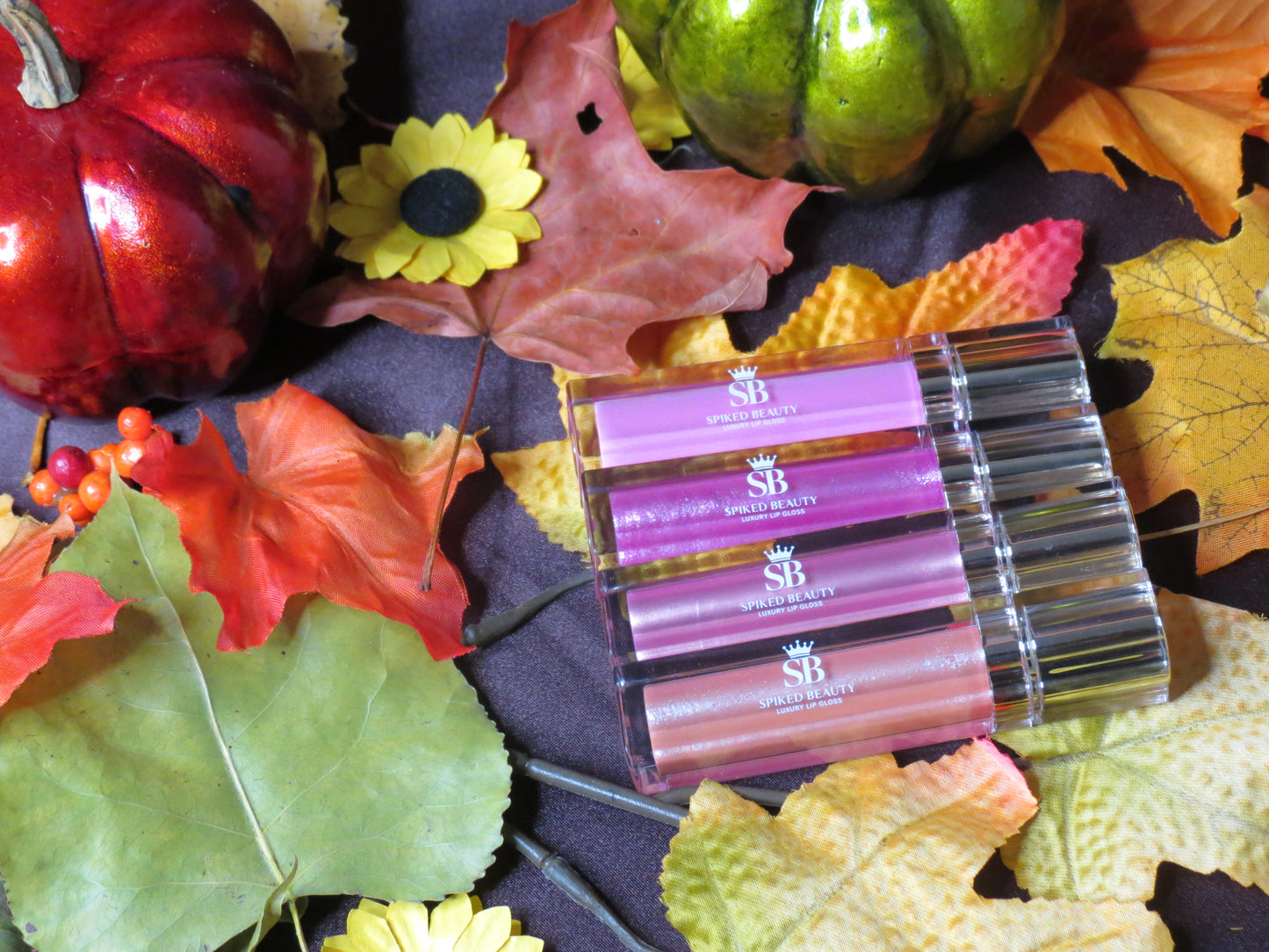 Lipgloss Lip Kits