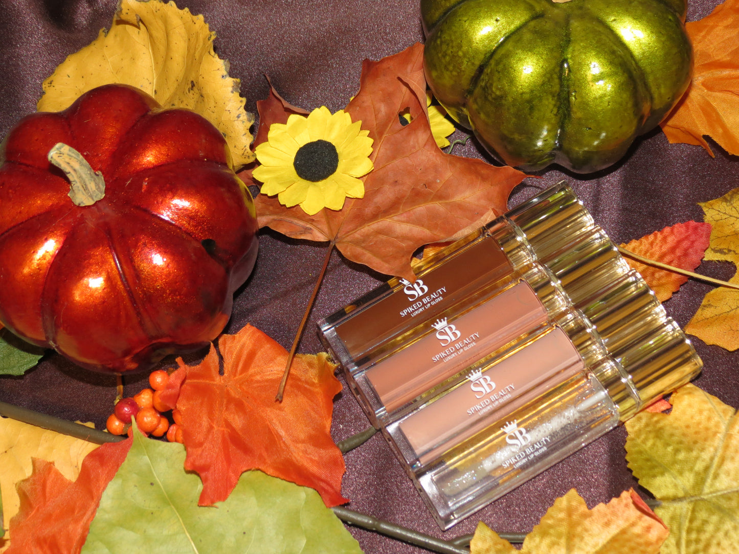 Lipgloss Lip Kits